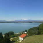 L'oliveraie