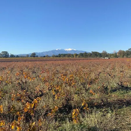 住宿加早餐酒店 L'oliveraie