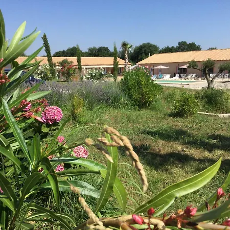 L'oliveraie * Toulouges