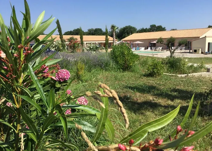 L'oliveraie * Toulouges